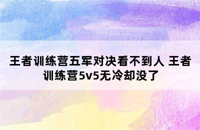 王者训练营五军对决看不到人 王者训练营5v5无冷却没了